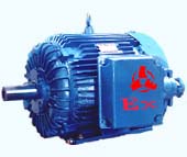 Non-Sparking Three-Phase Electric Motor