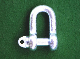 DIN82101 Standard Lifting Shackle