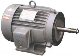 Induction Motor Shaft for Power Transmission