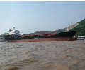 Marine Vessel Dry Cargo Carrier