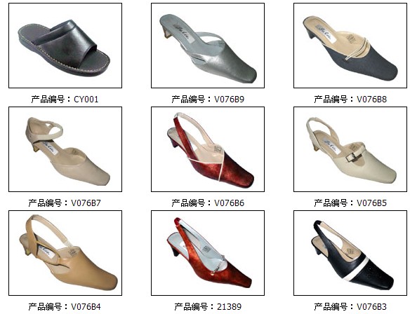 Women's Fashion Shoe Collection