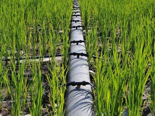 Single blade labyrinth drip irrigation tape - Image 3
