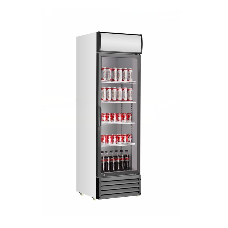Single-Door Upright Display Cooler - Image 2