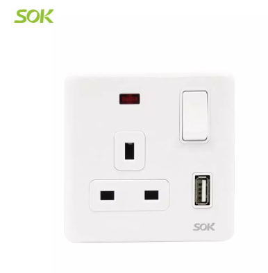 Switched 13A BS Power Outlet with Neon Indicator and USB Port