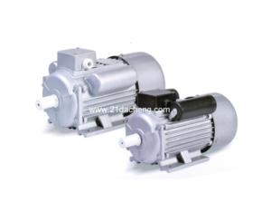 Single-Phase AC Electric Motor