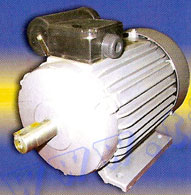 Single-Phase AC Induction Motor