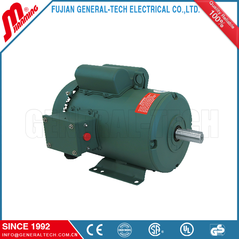 Single Phase Rolled Steel TEFC Motors - Image 2