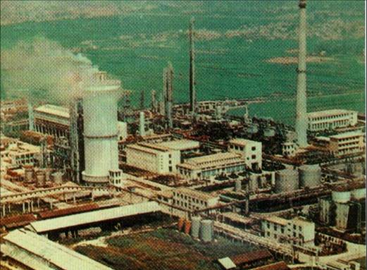 Synthetic Ammonia and Urea Production Plant