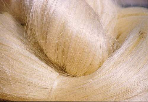Sisal Fiber - Image 3