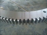 Slewing Bearing for Packing and Sealing Machinery