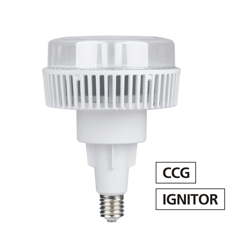 Ballast Compatible LED Light