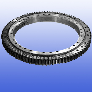 Slewing Ring Bearing