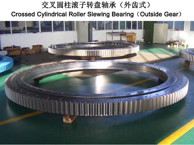slewing ring bearing - Image 2