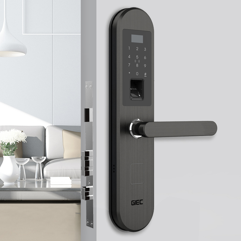 Digital Keypad Fingerprint Door Lock