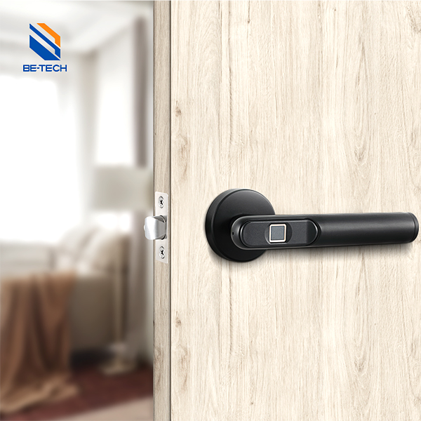 Smart Fingerprint Digital Smart Home Door Lock-Matte Black Electronic Digital Lock R6-19B - Image 3