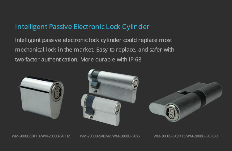 Intelligent Passive Electronic Lock Cylinder