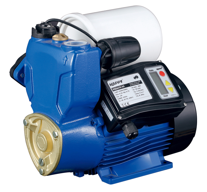 Self-Priming Water Pump