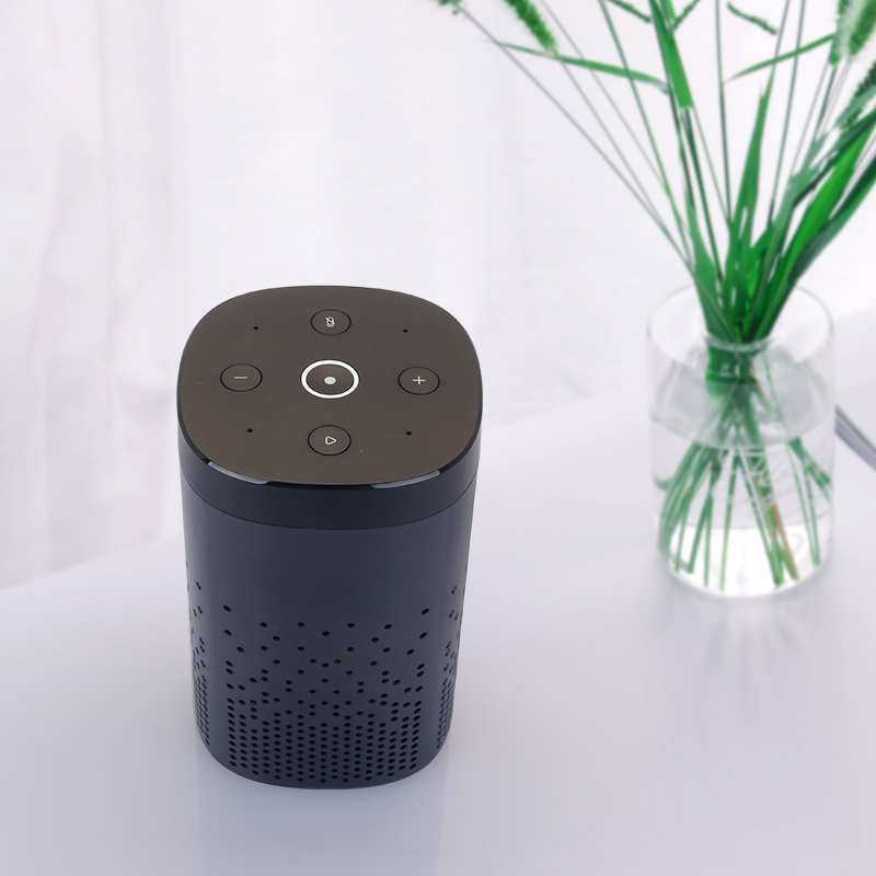 Smart Speaker + IR Control - Image 2
