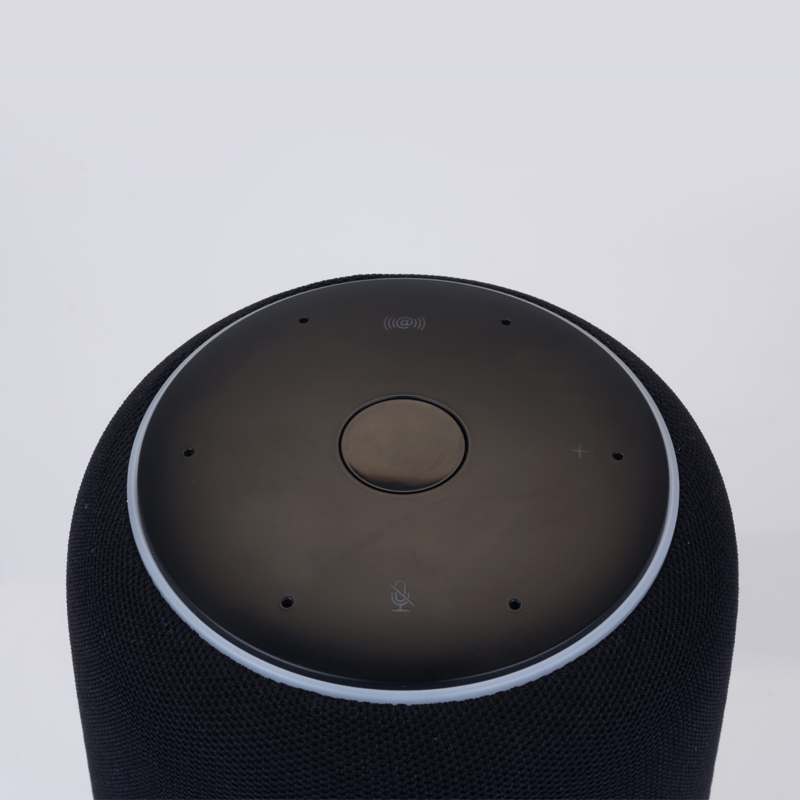 Smart Speaker with OTT Media Streaming