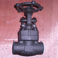 Socket Weld Globe Valve 800#