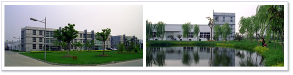 Software Solutions