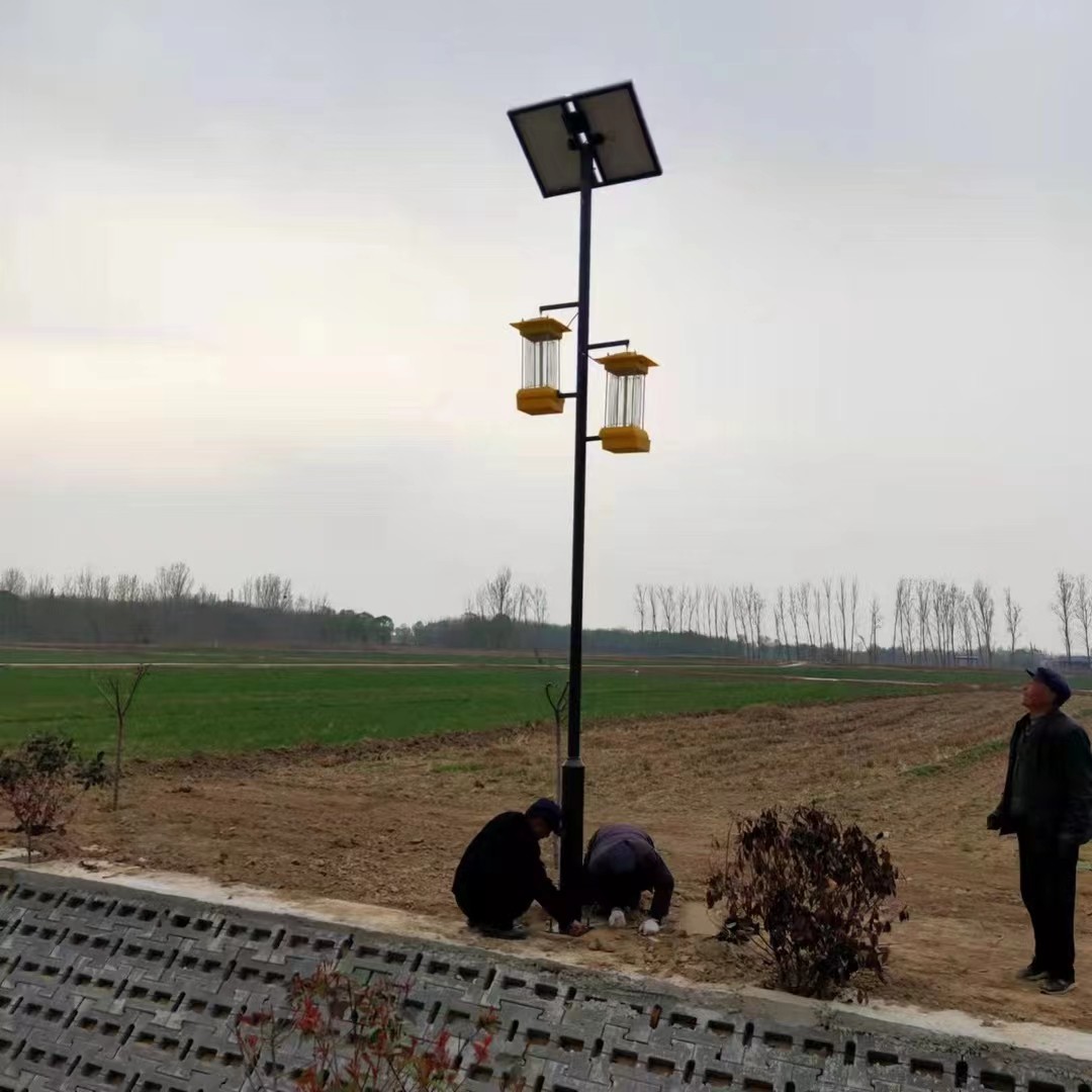 Solar insecticidal lamp - Image 2
