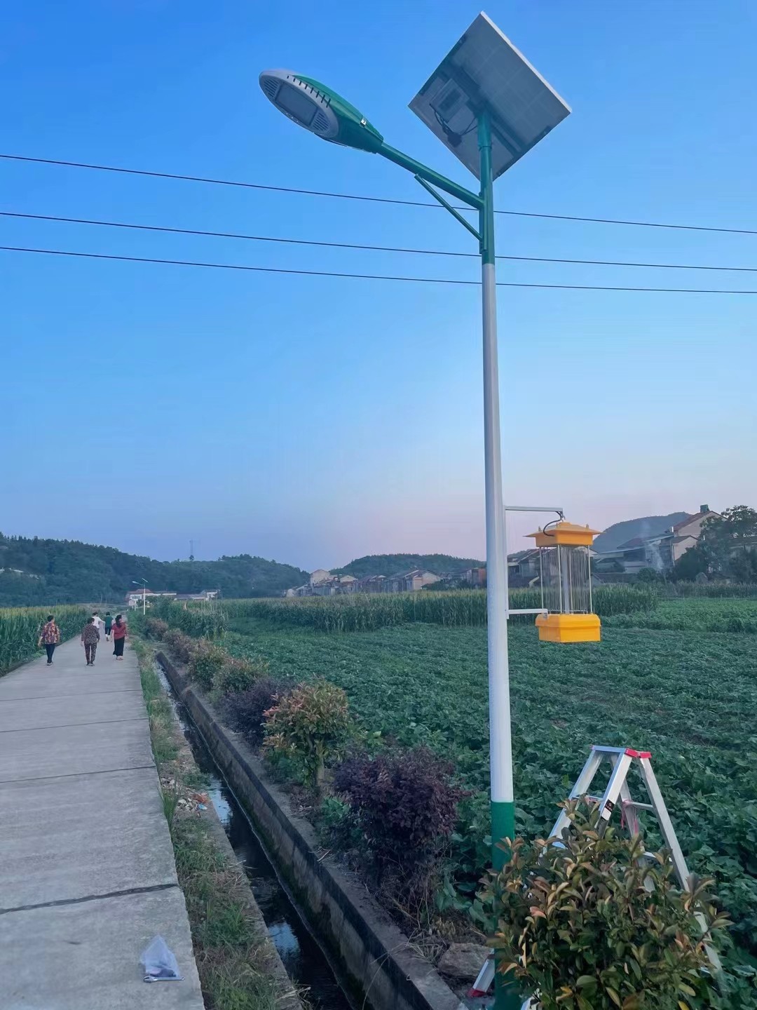 Solar Powered Insect Trap Lamp