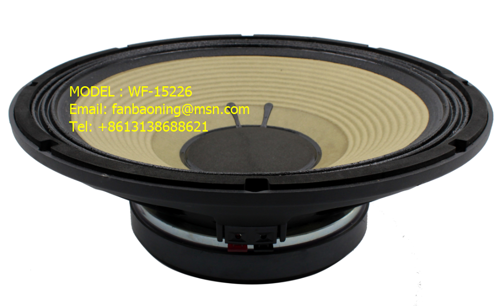 Professional Audio Speaker