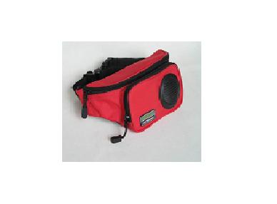 Portable Speaker System with Integrated Sound Box