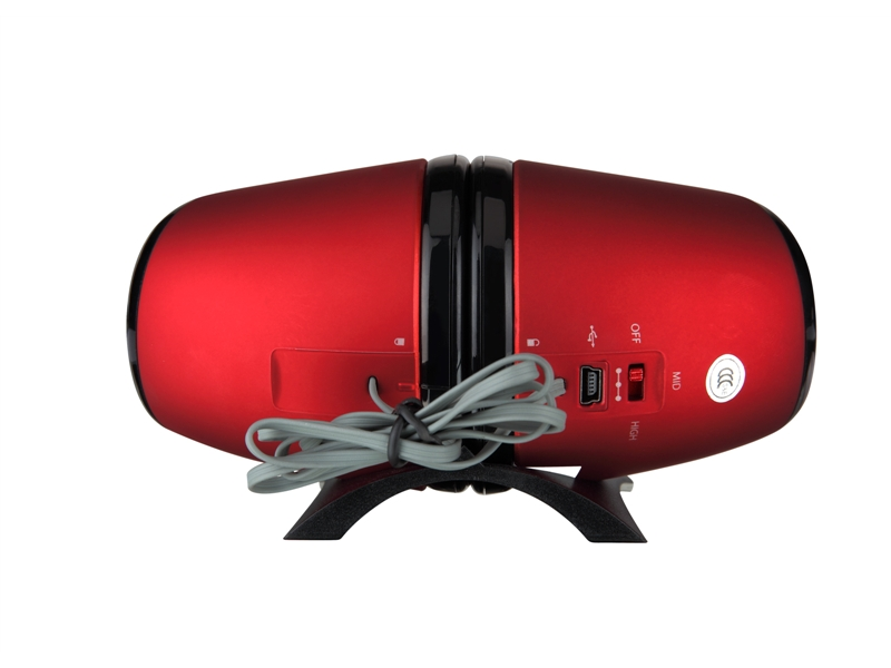 Portable Stereo Speaker with Integrated Amplifier