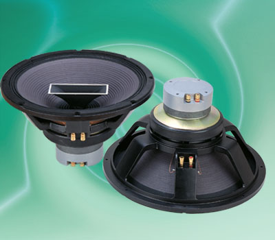 Loudspeaker with Large-Diameter Cone