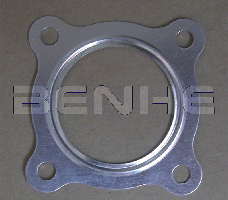 Metal Sealing Gasket
