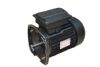 Electric Motor for Pool and Spa Pumps