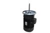 Stainless Steel Pump Motor