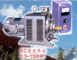 Industrial Electric Motor