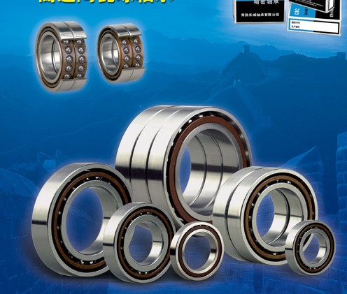 Precision Spindle Bearing