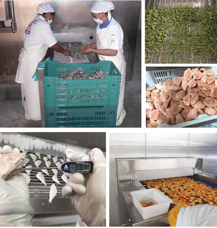 Spiral freezer in operational environment