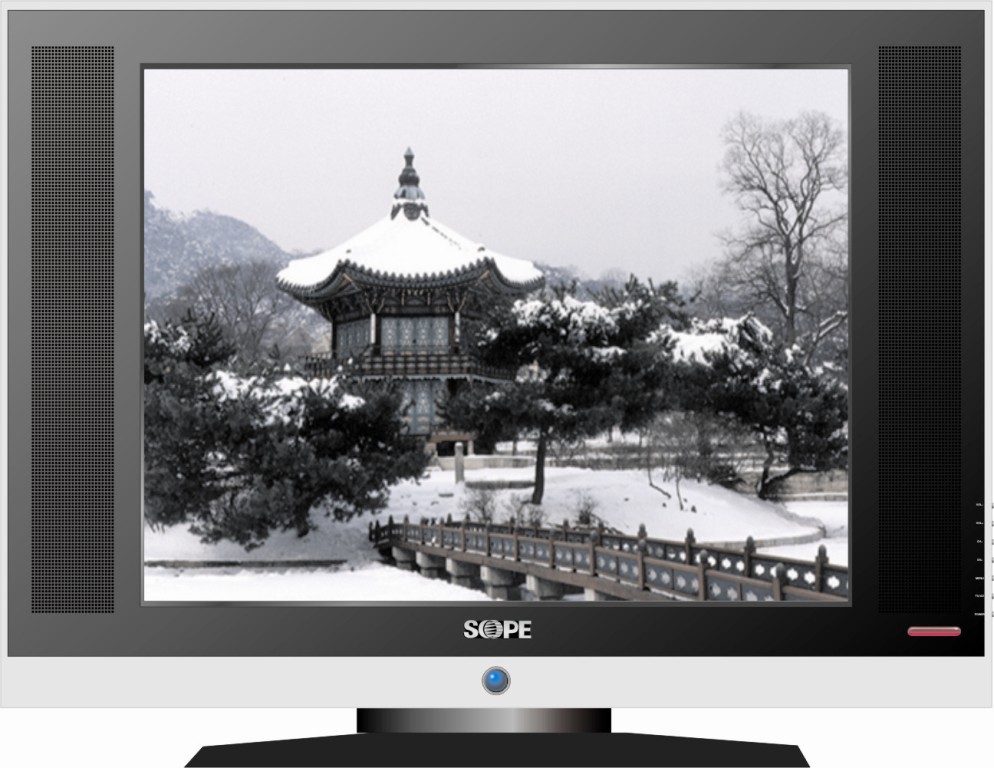 Flat Screen LED Television
