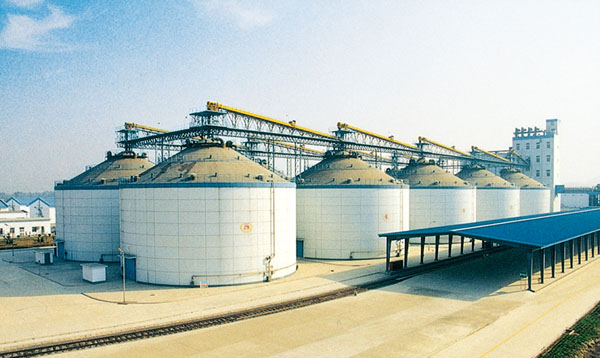 Grain Storage Silo with Overhead Conveyor System