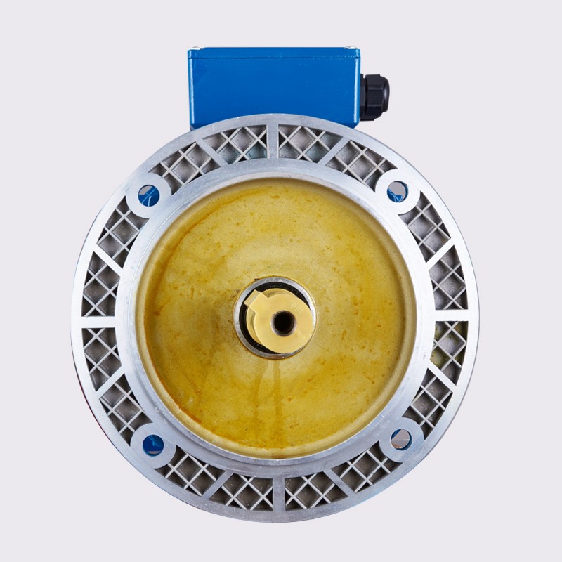1.5 HP AC Induction Motor 220V
