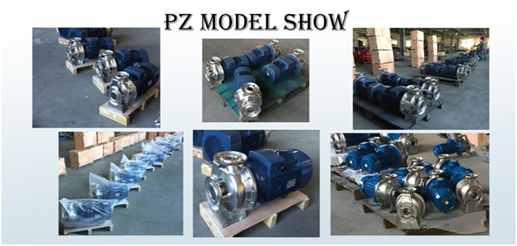 Staineless Steel Standard Pump PZ - Image 2