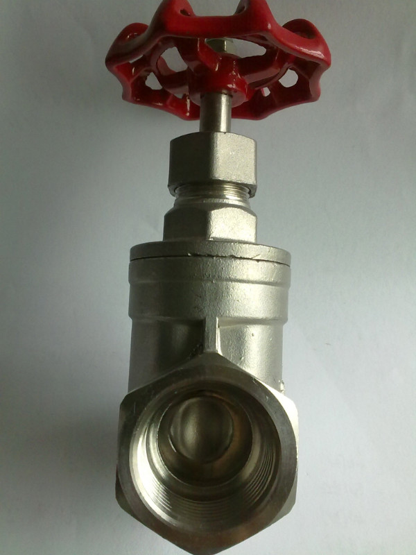 Stainless Steel Gate Valve with Female Threaded Ending - Image 3