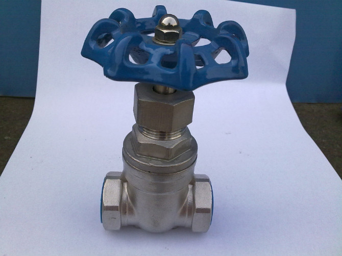 Stainless Steel Gate Valve with Female Threaded Ending - Image 2