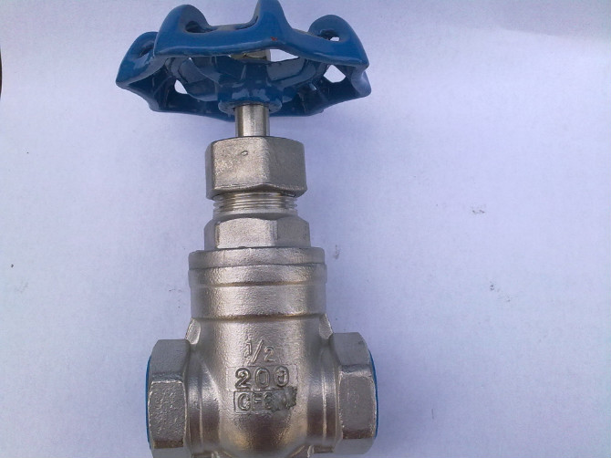 Stainless Steel Gate Valve with Female Threaded Ends
