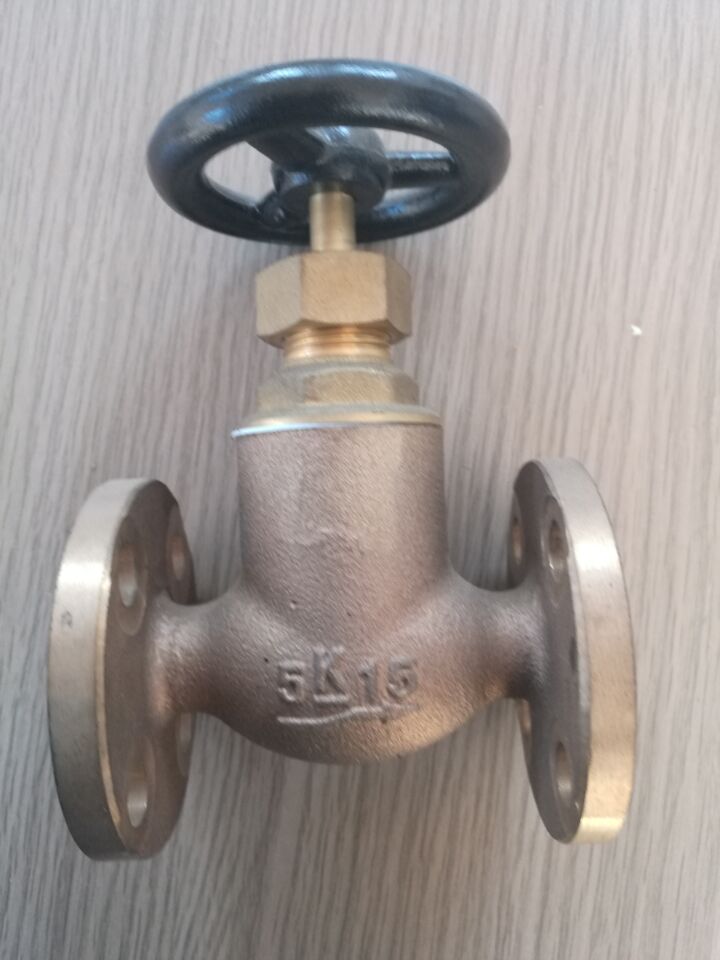 Stainless steel globe valve - Image 2