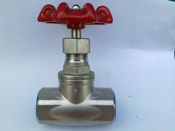 Female Threaded Stainless Steel Globe Valve