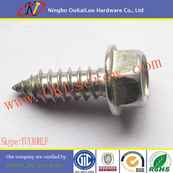 Stainless Steel Hex Head Self-Tapping Screws with Washer