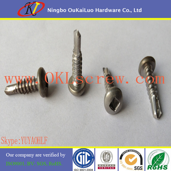 Stainless Steel Phillips Pan Head Self-Drilling Screw