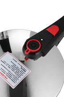 20cm Stainless Steel Pressure Cooker with Bakelite Handle