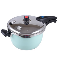 Stainless Steel 20cm Pressure Cooker